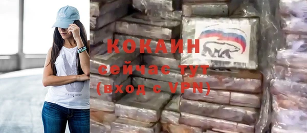 хмурый Богородицк