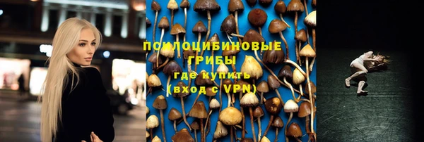 ALPHA PVP Богданович