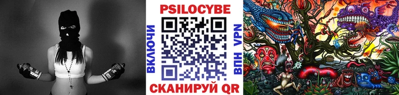 Галлюциногенные грибы мицелий  купить наркотики цена  Кашин 